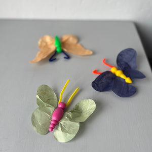 DIY Butterfly set of 12