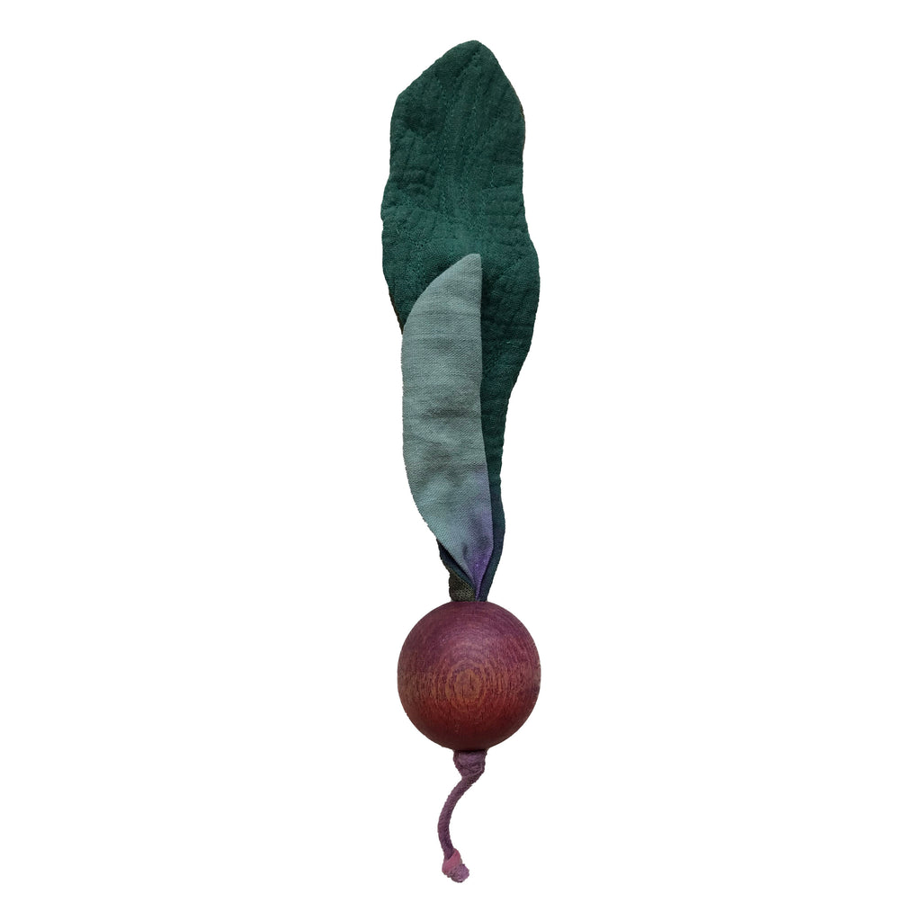 Beetroot vegetable
