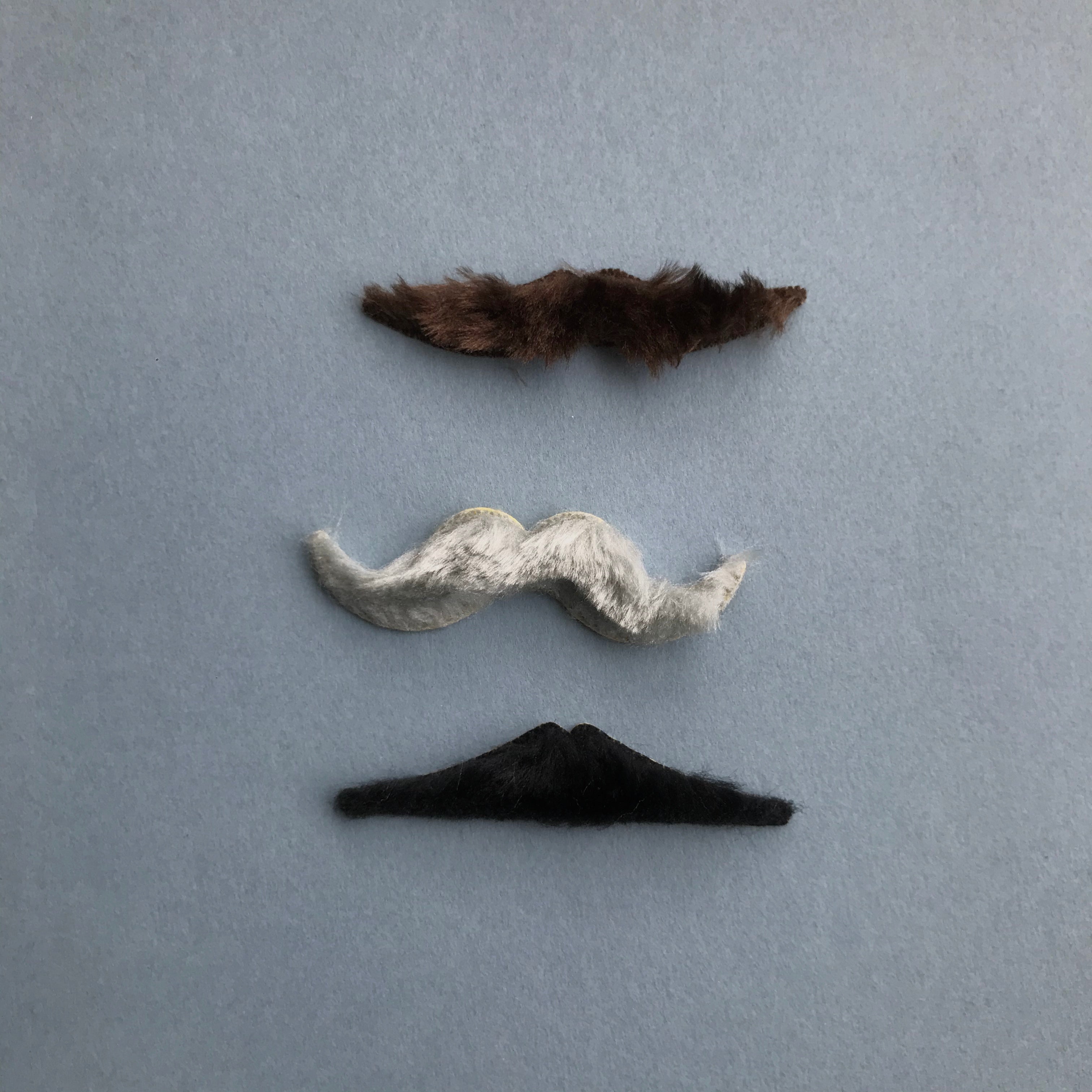 Moustache set