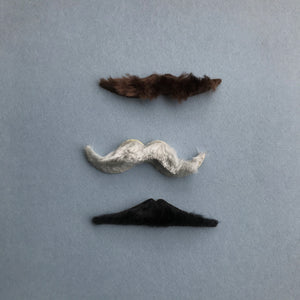 Moustache set