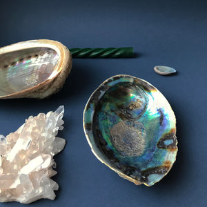 Abalone rainbow shell